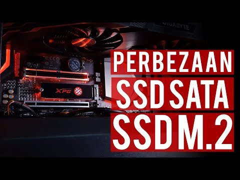 laptop yang memiliki slot ssd m2